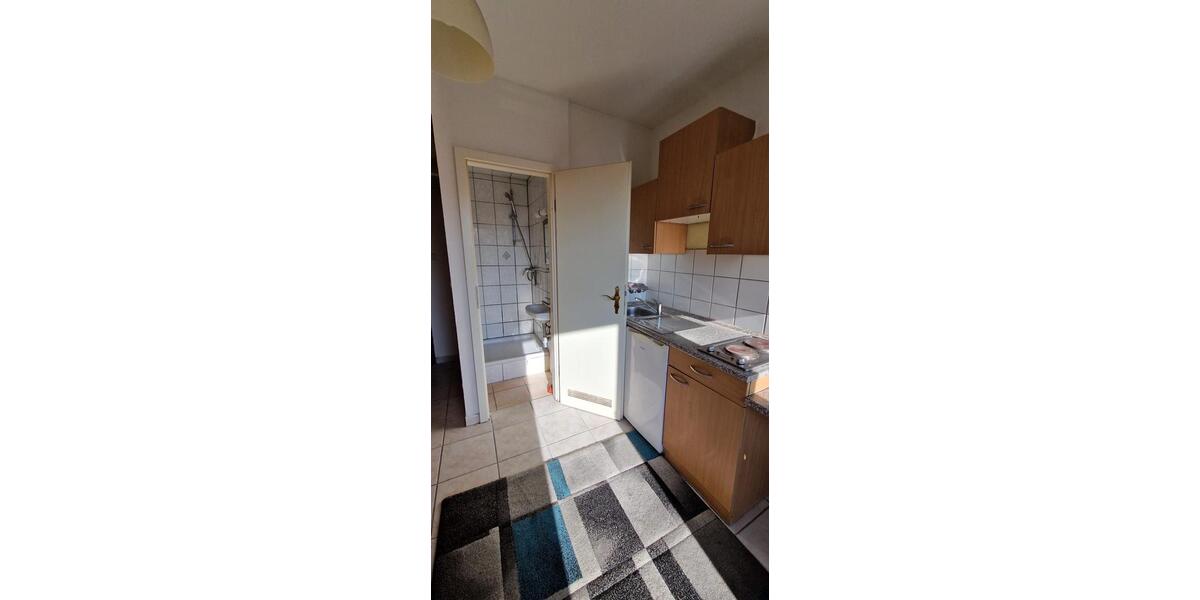 Etagenwohnung Hanau Lamboy - 1 Zimmer, 20 m&sup2;, 100&euro; | Angebot:24627238