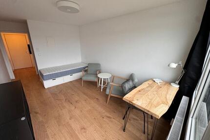 1-Zimmerwohnung mit TV, Wlan, DuscheWC, Küche, Waschmaschine, Trockner und Balkon
