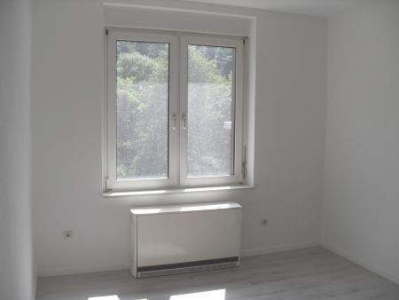 Etagenwohnung Lüdenscheid Brügge - 2 Zimmer, 55 m&sup2;, 390&euro; | Angebot:25697113