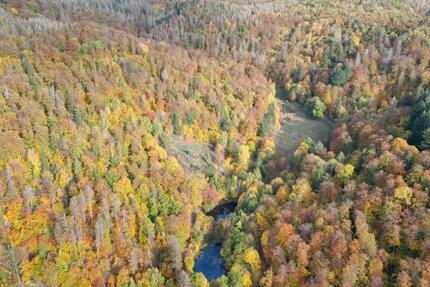 Gewerbeobjekt Bad Sachsa - 500&euro; | Angebot:24866810