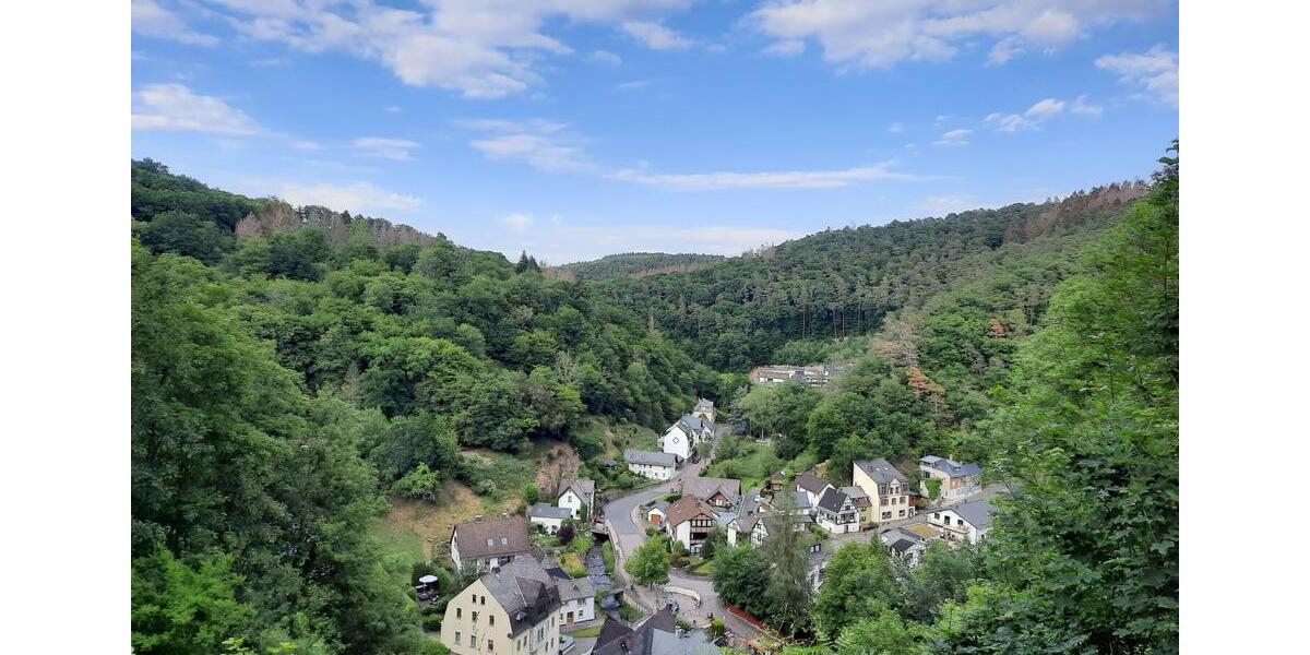 Möbliertes Studio 30m2 mit Terrasse - all inclusive - auf Zeit 1 zimmer