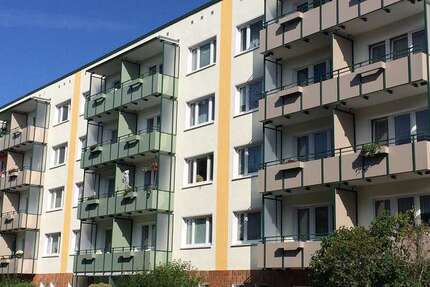 Wohnung zum Mieten in Rostock 328 € 44.85 m²