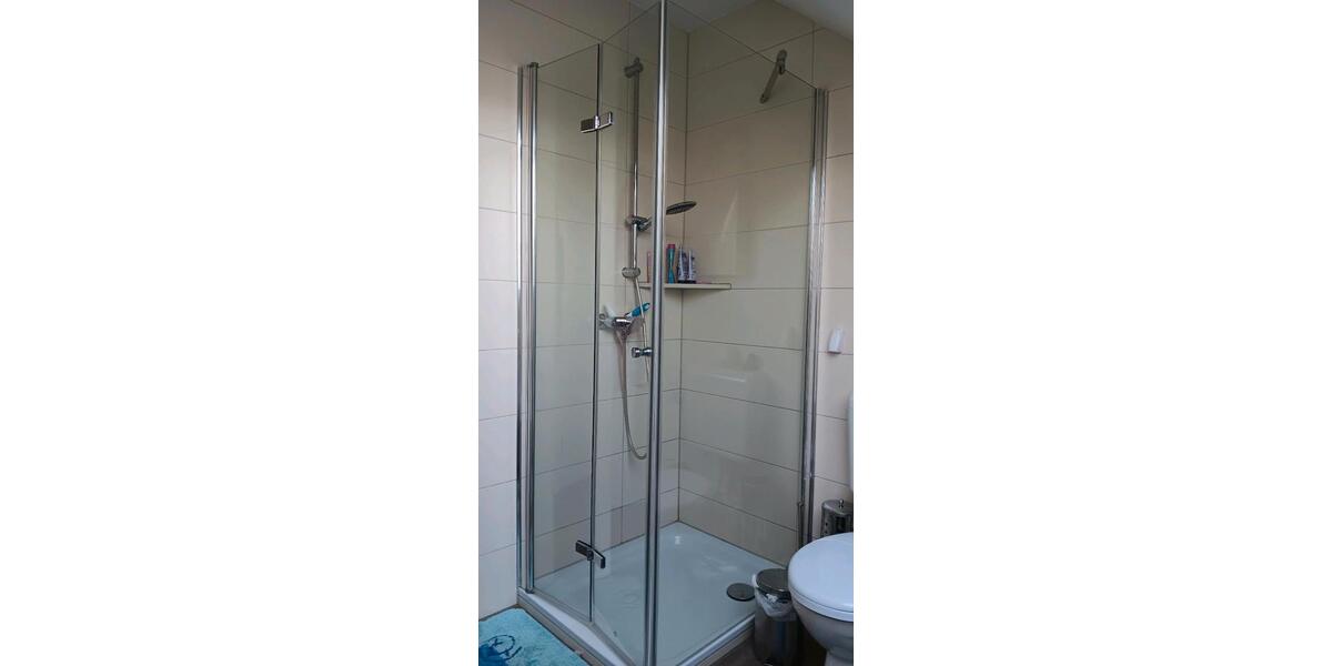 Dachgeschoßwohnung Alzey - 3 Zimmer, 97 m&sup2;, 1.220&euro; | Angebot:24753417