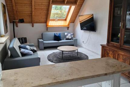 Wohnen auf Zeit Singen (Hohentwiel) - 2 Zimmer, 60 m&sup2;, 1.480&euro; | Angebot:24564732