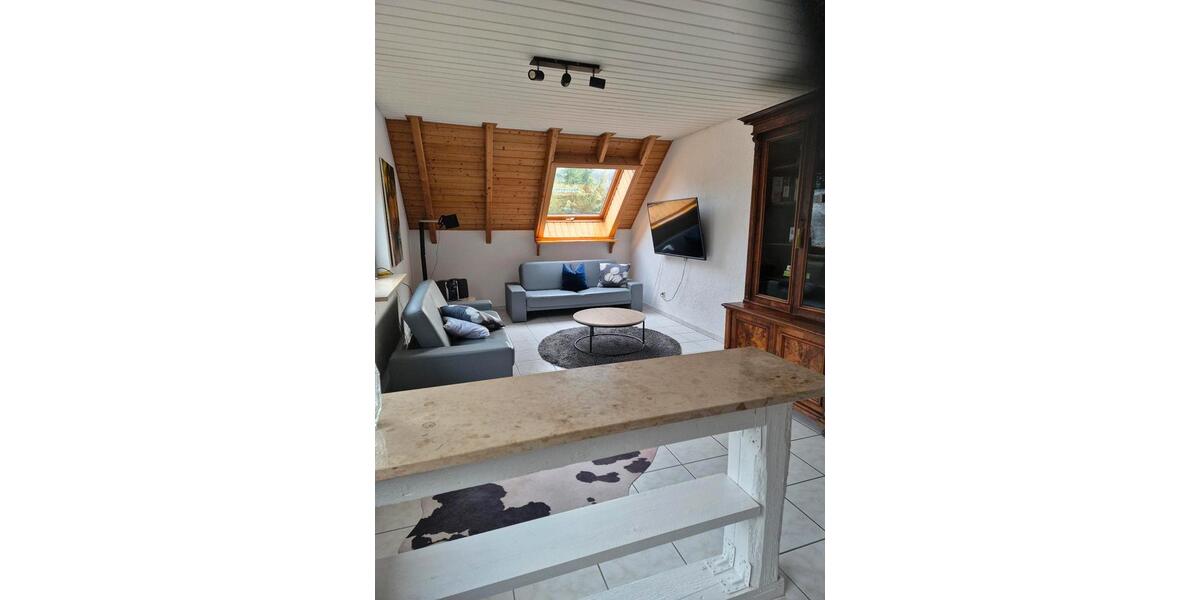 Wohnen auf Zeit Singen (Hohentwiel) - 2 Zimmer, 60 m&sup2;, 1.480&euro; | Angebot:24564732