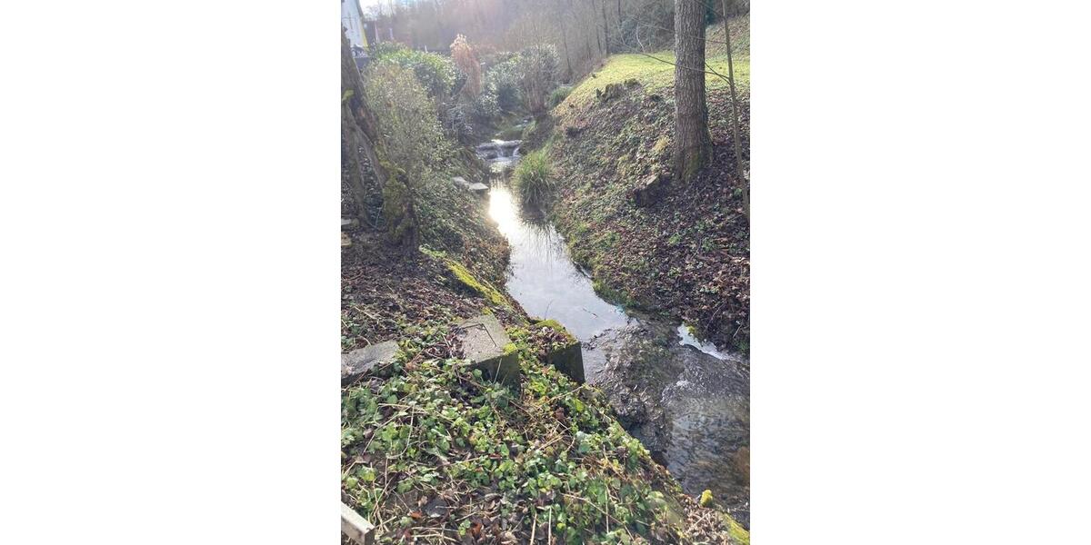 Frisch renovierte 1-Zimmer Wohnung im EG + Arbeitszimmer 2 zimmer