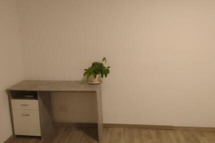 Wohnen auf Zeit Wiesbaden Mainz-Amöneburg - 1 Zimmer, 25 m&sup2;, 250&euro; | Angebot:24755194