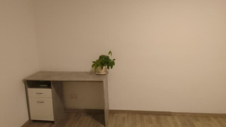 Wohnen auf Zeit Wiesbaden Mainz-Amöneburg - 1 Zimmer, 25 m&sup2;, 250&euro; | Angebot:24755194