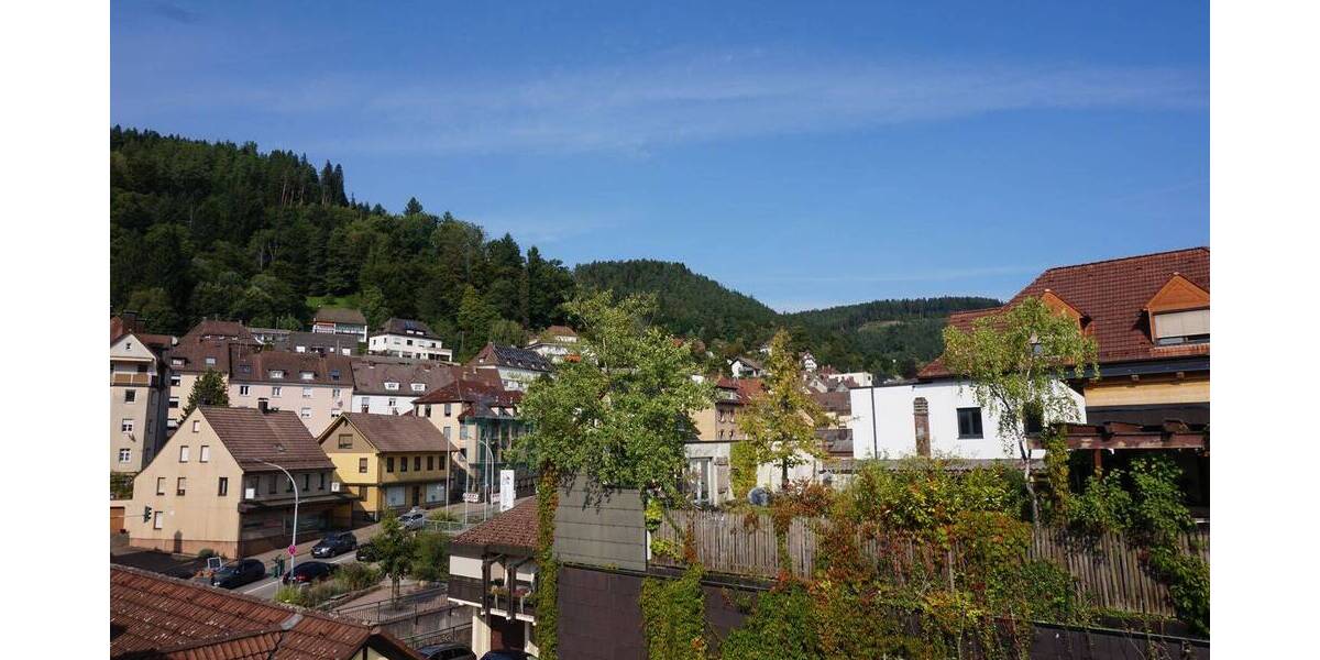 Etagenwohnung Schramberg - 2 Zimmer, 88 m&sup2;, 880&euro; | Angebot:24141081