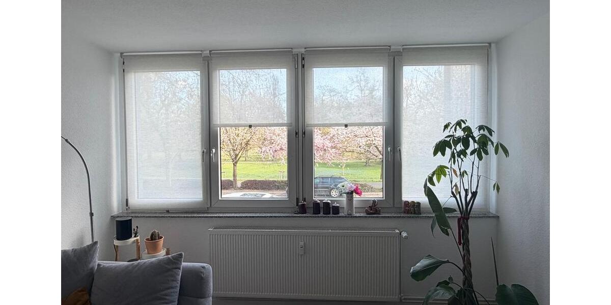 Erdgeschoßwohnung Magdeburg Alte Neustadt - 2 Zimmer, 48 m&sup2;, 352&euro; | Angebot:26614492