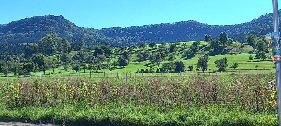 Wohnen auf Zeit Balingen - 1 Zimmer, 25 m&sup2;, 420&euro; | Angebot:24315225