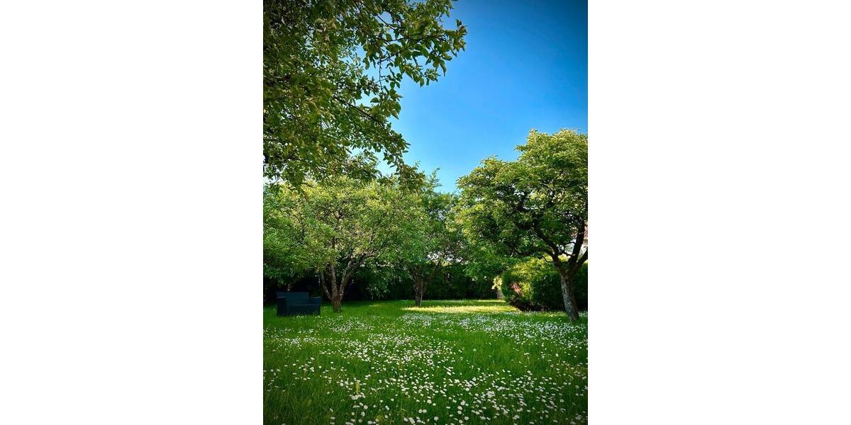 Wohnen auf Zeit Regensburg Brandlberg - 1 Zimmer, 18 m&sup2;, 600&euro; | Angebot:24733512