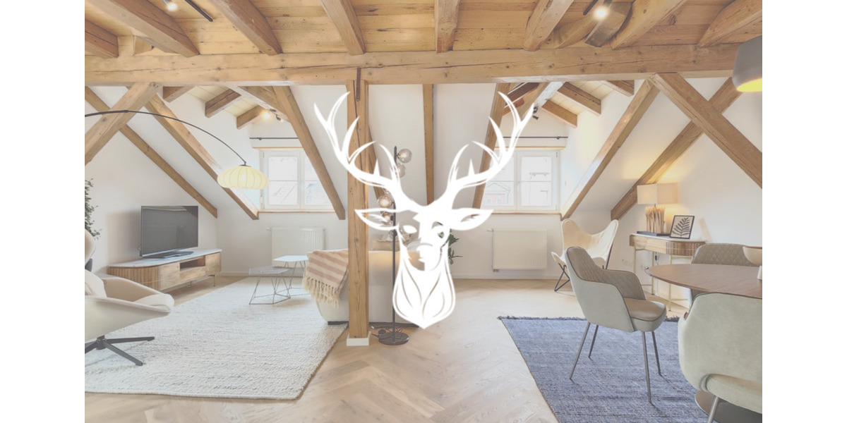 Dachgeschoßwohnung Waldshut-Tiengen Tiengen - 2 Zimmer, 95 m&sup2;, 1.450&euro; | Angebot:23601188