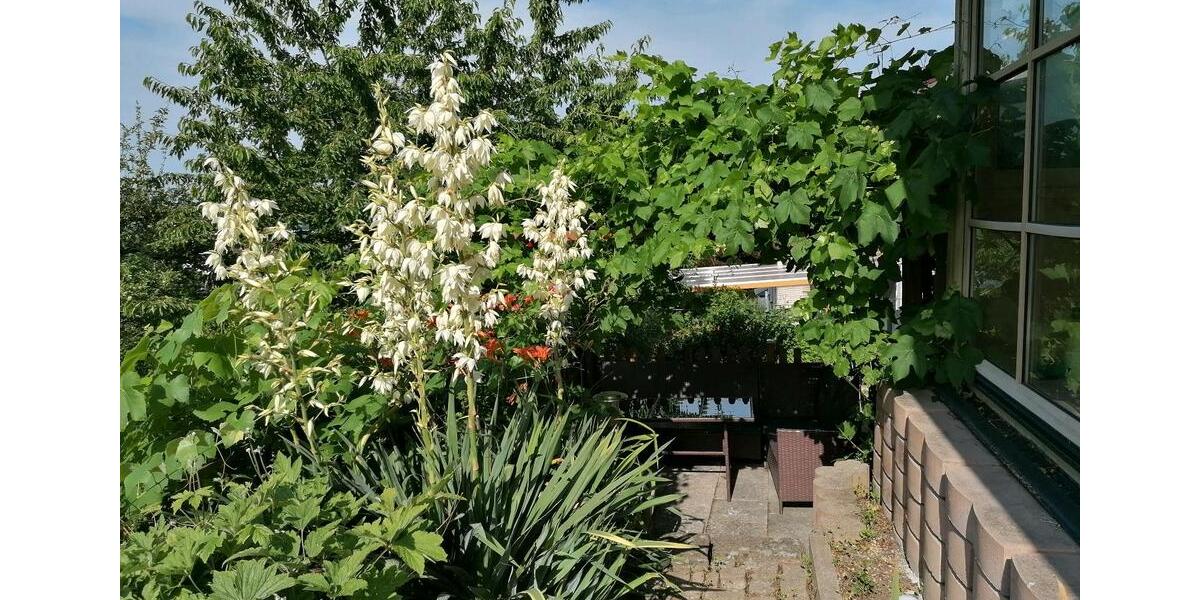 Etagenwohnung Pfarrkirchen - 3 Zimmer, 880&euro; | Angebot:21675413