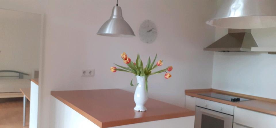 Erdgeschoßwohnung Sulzbach am Main - 1 Zimmer, 45 m&sup2;, 695&euro; | Angebot:24654337