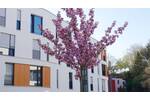 Etagenwohnung Mönchengladbach Stadtmitte - 4 Zimmer, 113 m&sup2;, 1.499&euro; | Angebot:26545278
