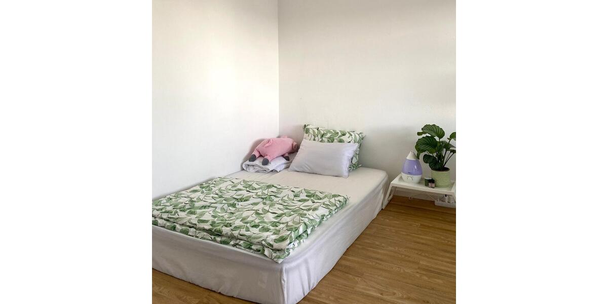 Wohnen auf Zeit Straubing - 1 Zimmer, 22 m&sup2;, 450&euro; | Angebot:25853776