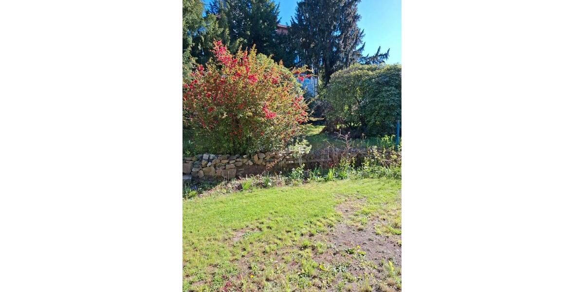 Erdgeschoßwohnung Wernigerode - 3 Zimmer, 74 m&sup2;, 850&euro; | Angebot:26635060