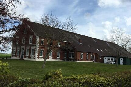 Wohnung Hage - 2 Zimmer, 65 m&sup2;, 730&euro; | Angebot:25060522