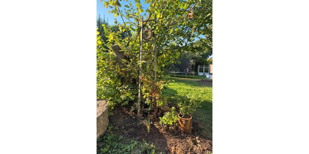 Wohnen auf Zeit Erfurt Linderbach - 2 Zimmer, 65 m&sup2;, 55&euro; | Angebot:23621550