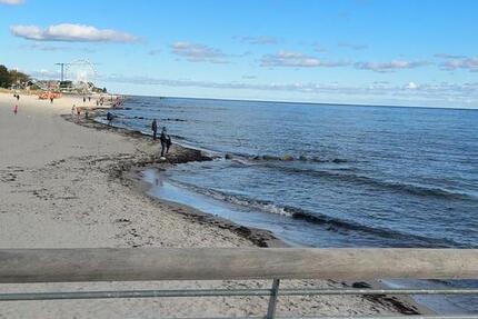 Neubauwohnung in Grömitz KfW40 Standard 41 Quadratmeter 1 zimmer