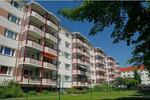 Etagenwohnung Salzwedel - 2 Zimmer, 50 m&sup2;, 330&euro; | Angebot:26458940