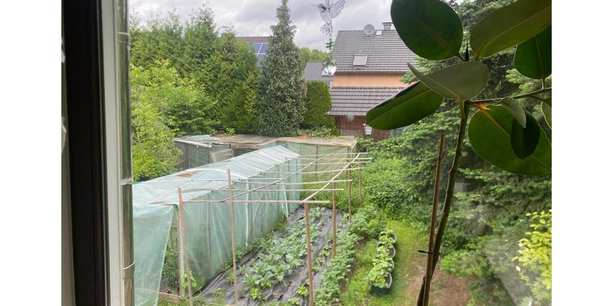 Etagenwohnung Solingen Aufderhöhe - 2 Zimmer, 80 m&sup2;, 960&euro; | Angebot:23906297