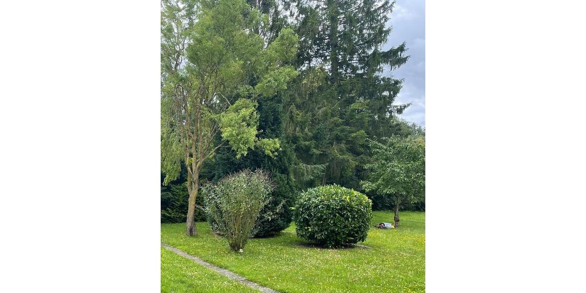 Dachgeschoßwohnung Ascheberg (Holstein) - 2 Zimmer, 39 m&sup2;, 569&euro; | Angebot:25611727