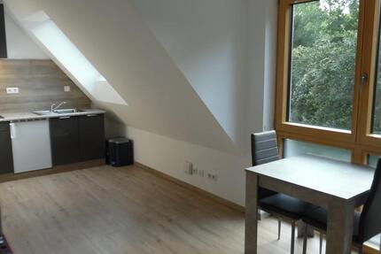 Möbelierte 1-Zimmer-Wohnung - ab 01.04.2026 1 zimmer