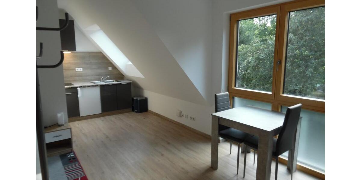 Möbelierte 1-Zimmer-Wohnung - ab 01.04.2026 1 zimmer