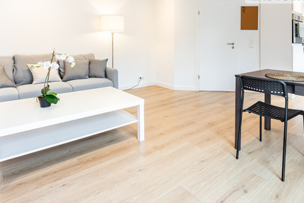 Easystay24 - Monteurwohnungen in Mainz und Umgebung 3 zimmer