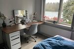 Wohnen auf Zeit Wiesbaden Dotzheim - 1 Zimmer, 20 m&sup2;, 638&euro; | Angebot:25883758
