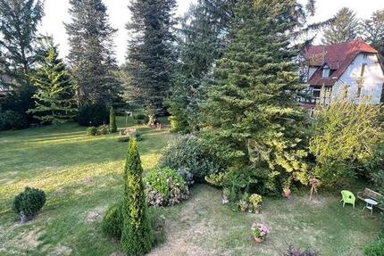 Wohnung Bad Bevensen - 3.5 Zimmer, 105 m&sup2;, 800&euro; | Angebot:26618674
