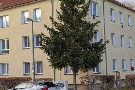 Wohnung zum Mieten in Gera 430 € 65 m² 2 zimmer