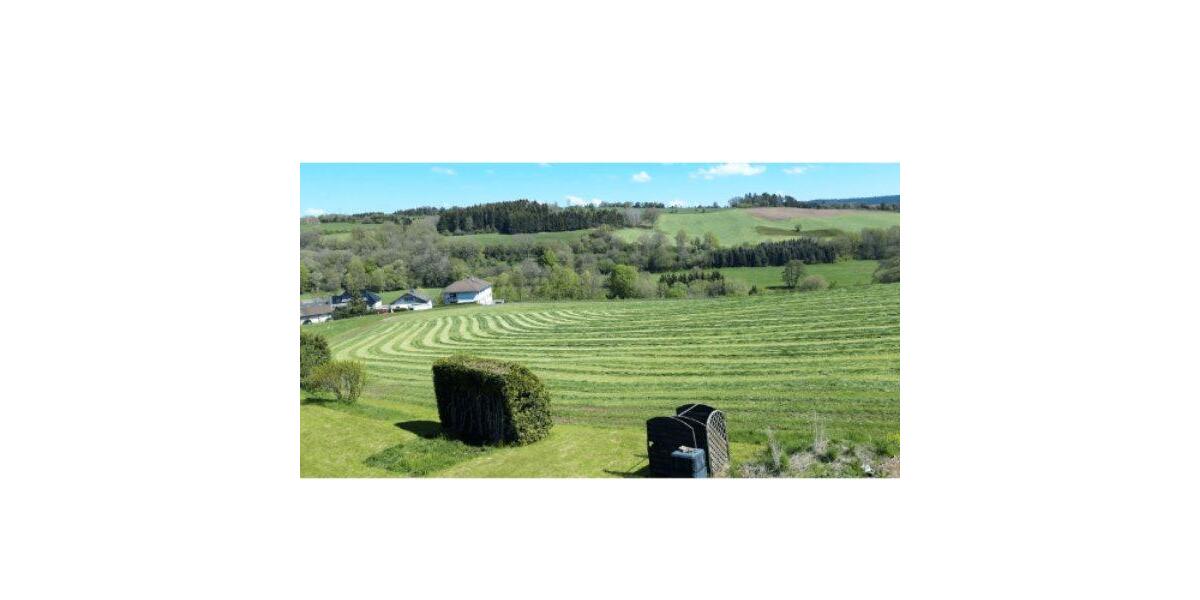 Etagenwohnung Stadtkyll - 4 Zimmer, 85 m&sup2;, 890&euro; | Angebot:26050576