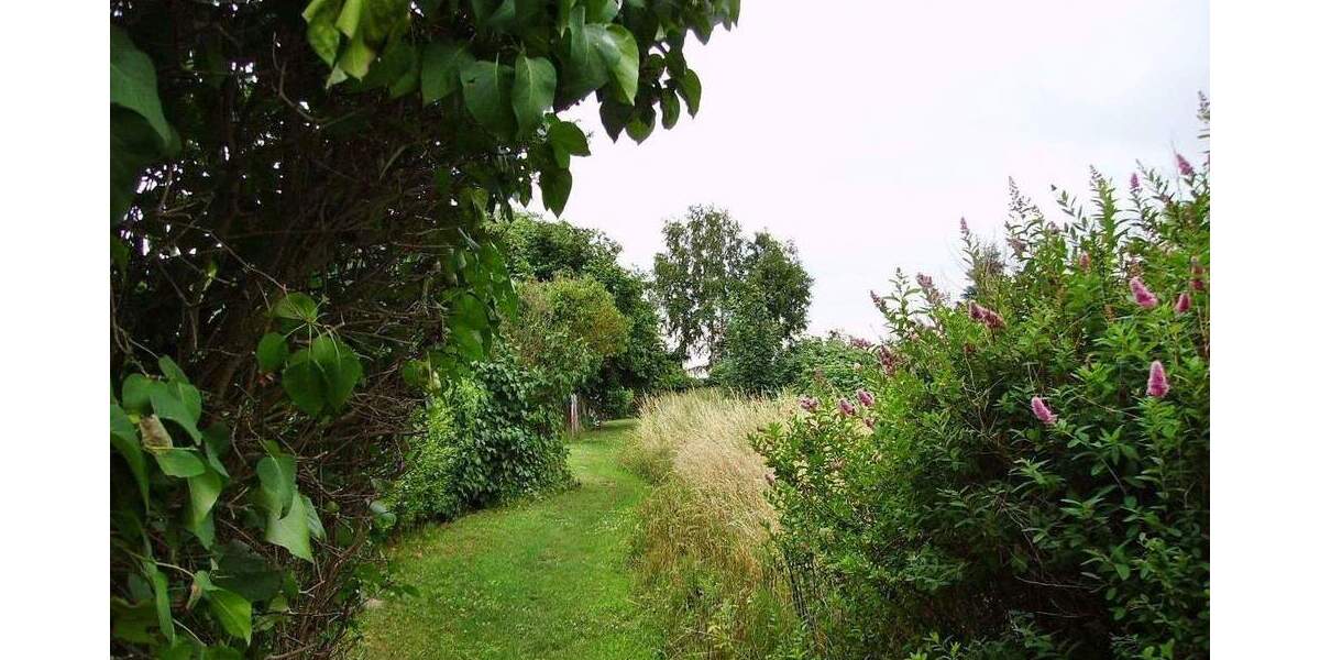 Etagenwohnung Postlow-Görke Görke - 2 Zimmer, 58 m&sup2;, 395&euro; | Angebot:25880791