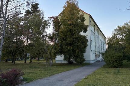 Wohnung Lauta - 4 Zimmer, 67 m&sup2;, 600&euro; | Angebot:24982709