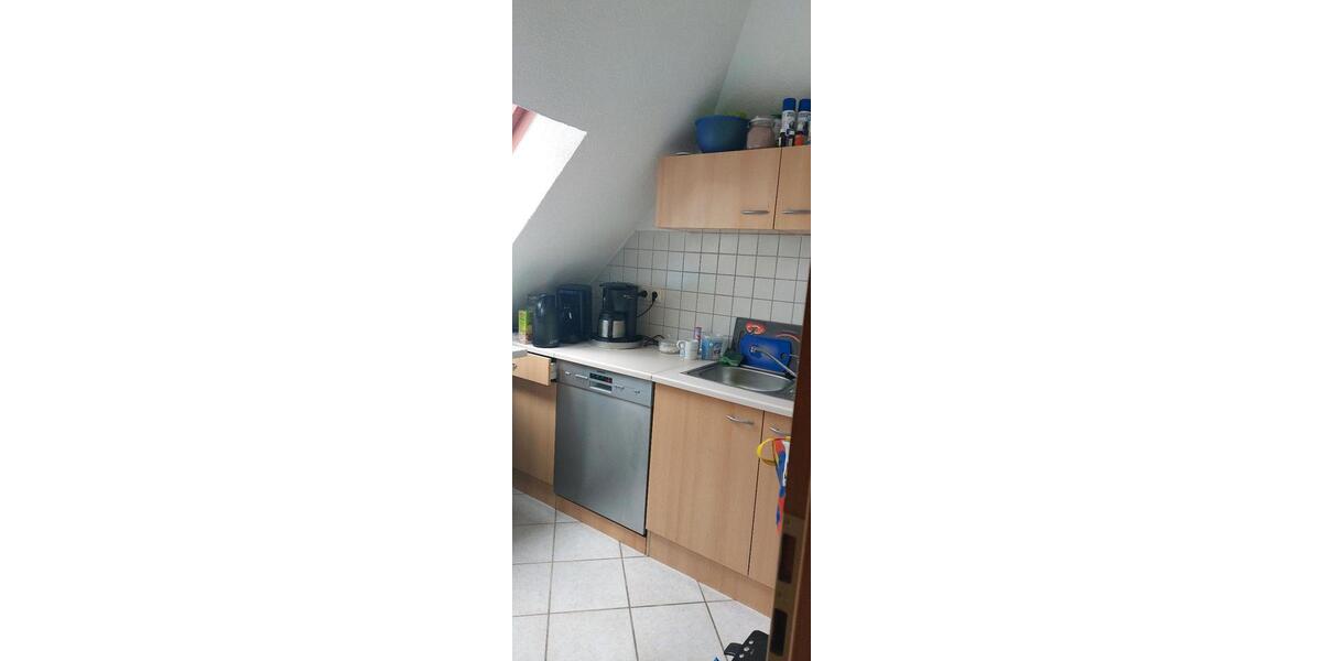 Dachgeschoßwohnung Cottbus Sachsendorf - 1 Zimmer, 36 m&sup2;, 420&euro; | Angebot:24455312