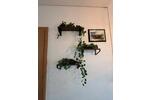 Etagenwohnung Waren (Müritz) - 2 Zimmer, 43 m&sup2;, 406&euro; | Angebot:26480310