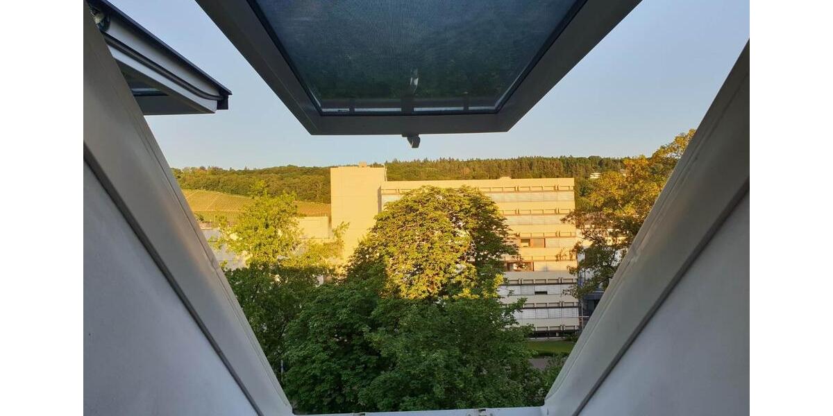 Etagenwohnung Trier - 4 Zimmer, 67 m&sup2;, 1.020&euro; | Angebot:24431692