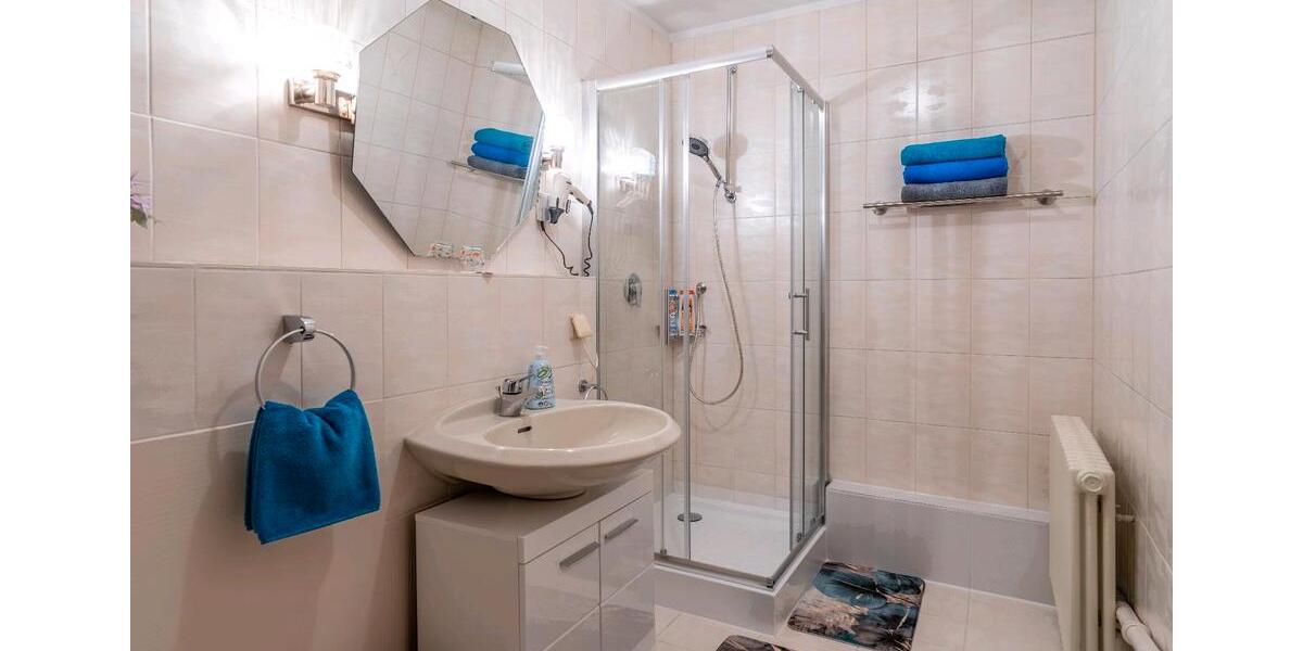 Wohnen auf Zeit Friesenheim - 1 Zimmer, 28 m&sup2;, 26&euro; | Angebot:24743827