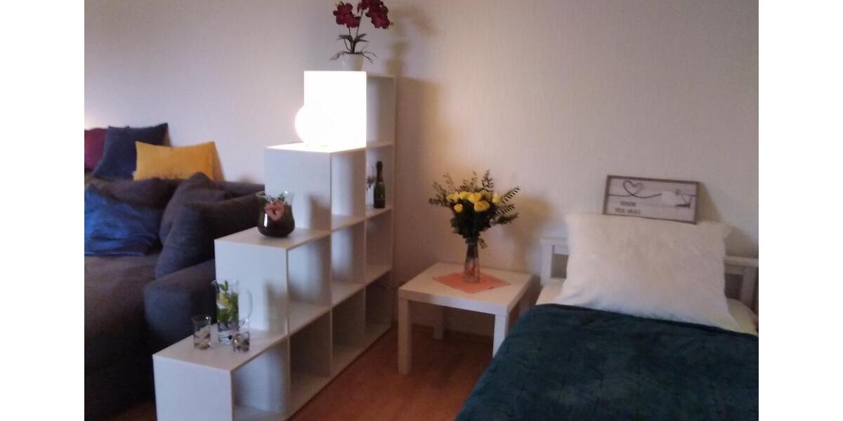 Wohnen auf Zeit Freiburg im Breisgau Herdern - 1 Zimmer, 28 m&sup2;, 780&euro; | Angebot:26135216