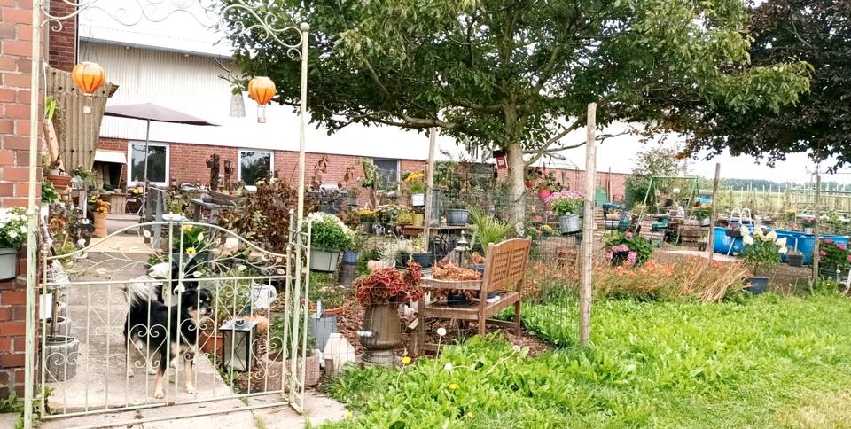 Einfamilienhaus Oederquart - 1 Zimmer, 180 m&sup2;, 650&euro; | Angebot:24741405