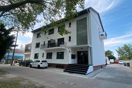 Wohnung Ludwigshafen am Rhein Ludwigshafen-Hemshof - 1 Zimmer, 25 m&sup2;, 750&euro; | Angebot:26536476