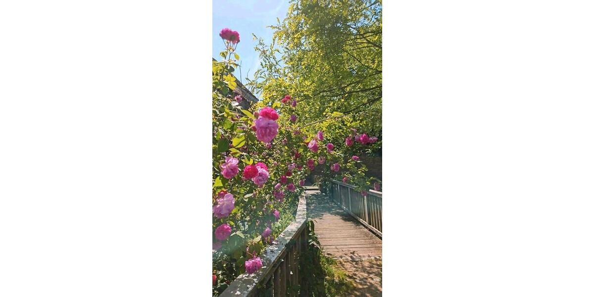 Loft - Studio - Atelier Ornbau - 3 Zimmer, 121 m&sup2;, 1.400&euro; | Angebot:26038544