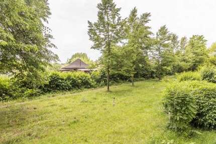 Wohnung zum Mieten in Chemnitz 358,15 € 71.63 m² 3 zimmer