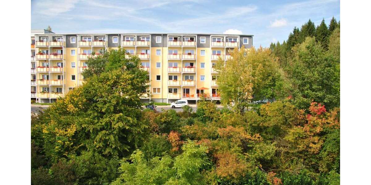 Wohnung zum Mieten in Bad Elster 395 € 37 m² 1 zimmer