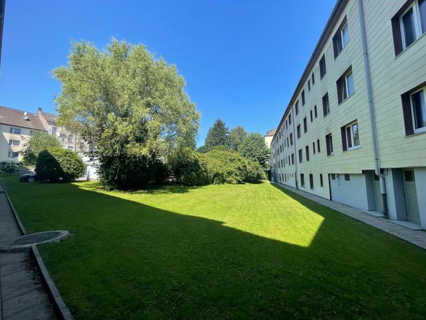superschöne frisch renovierte 3 Zimmer Wohnung