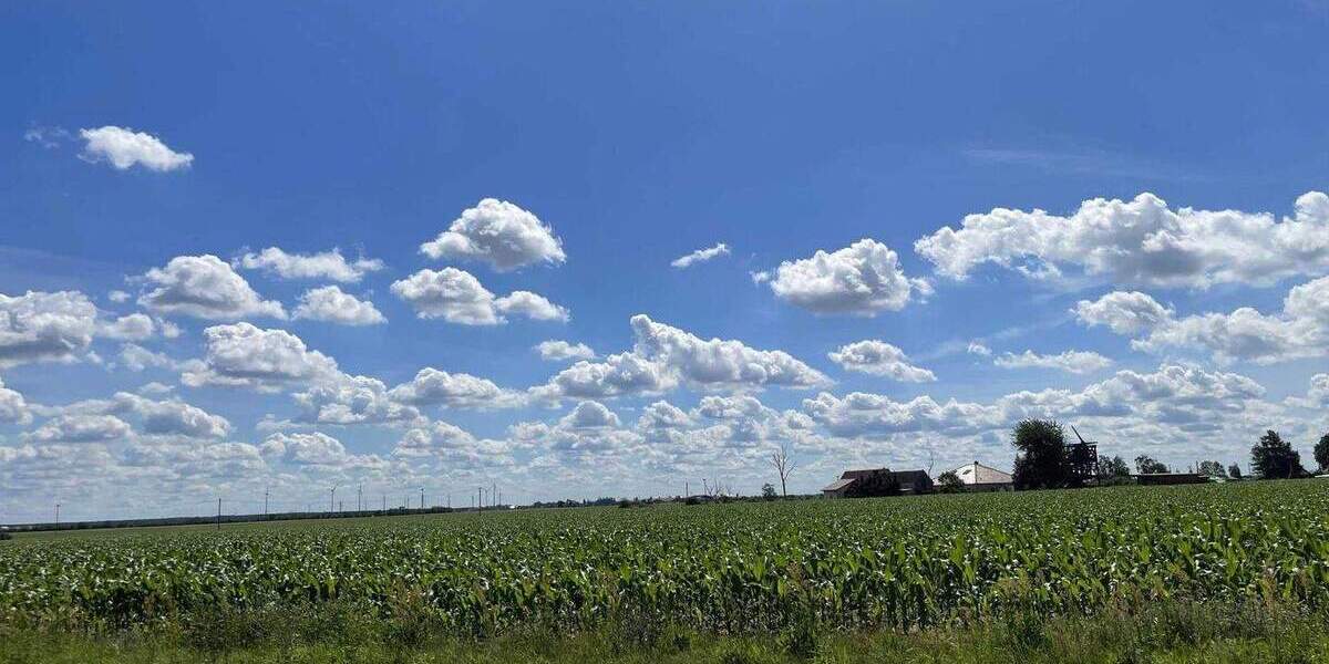 Etagenwohnung Arzberg - 2 Zimmer, 47 m&sup2;, 240&euro; | Angebot:23971808