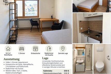 Wohnung Mainz - 1 Zimmer, 17 m&sup2;, 550&euro; | Angebot:27615541
